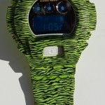 Micro_Zebra