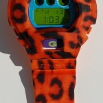 photo_cheetah