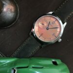 Felix-Erwin-Scientific-salmon