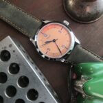 Felix-Erwin-Scientific-salmon