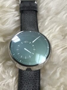 Ressence Type8 Sage