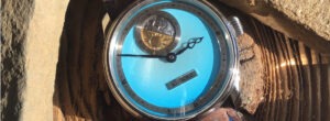Kudoke2 Bluebird
