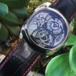 Andreas Strehler Papillon