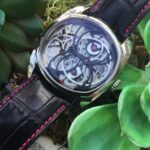 Andreas Strehler Papillon