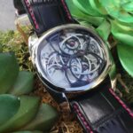 Andreas Strehler Papillon